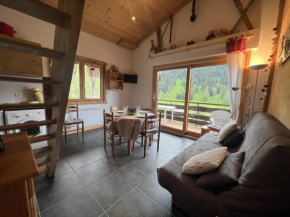 Reposire 8, appartement 5 pers plein sud